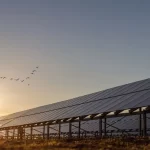 Geração centralizada de energia solar no Brasil ultrapassa 14 GW